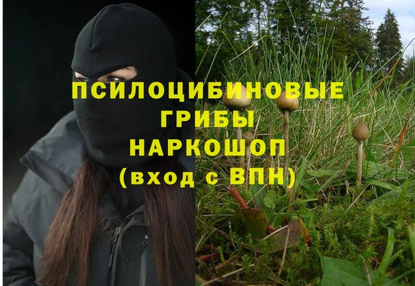 а пвп мука Армянск